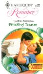 Allisonová Heather - Přitažlivý Texasan