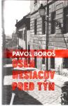 Boroš Pavol - Osem mesiacov pred tým