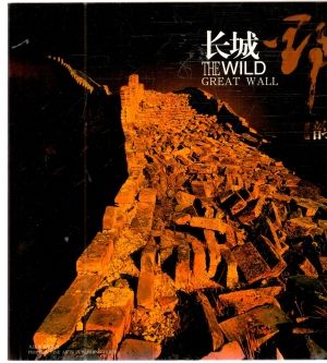 Obal knihy The wild great wall